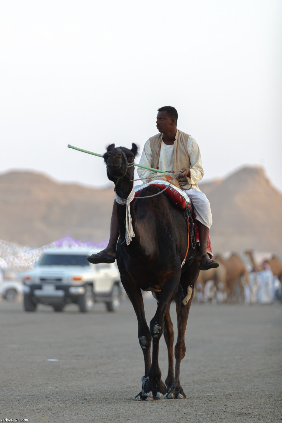70 ألف زائر